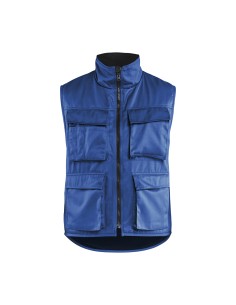 Vinter vest