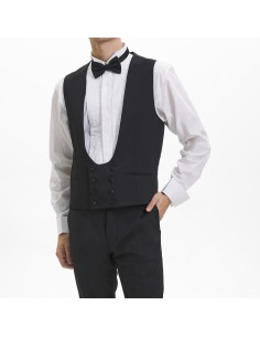 Traveller Gallavest 2